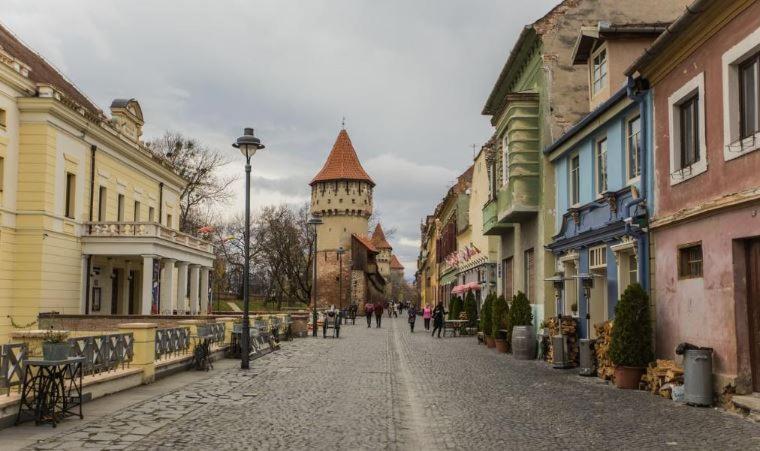 Old Town Cozy Nest Appartement Sibiu Buitenkant foto