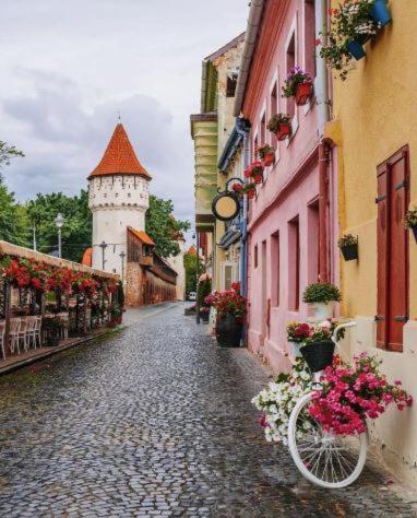 Old Town Cozy Nest Appartement Sibiu Buitenkant foto
